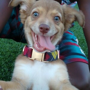 Fundraising Page: Amara Louis